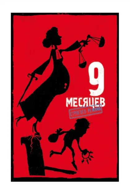 Фильм 9 месяцев строгого режима (2013)