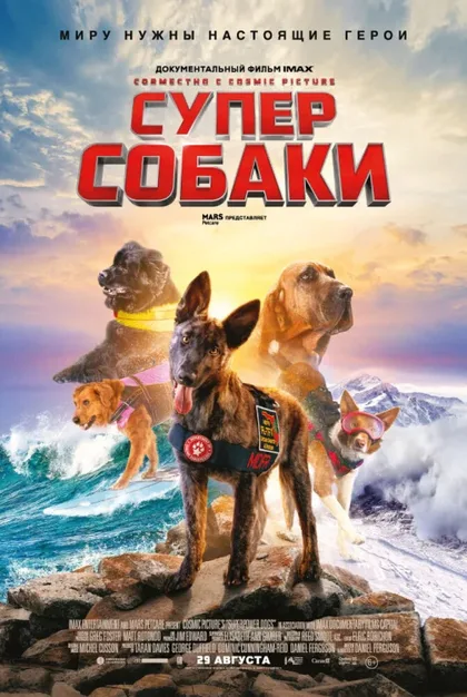Фильм Суперсобаки (2019)