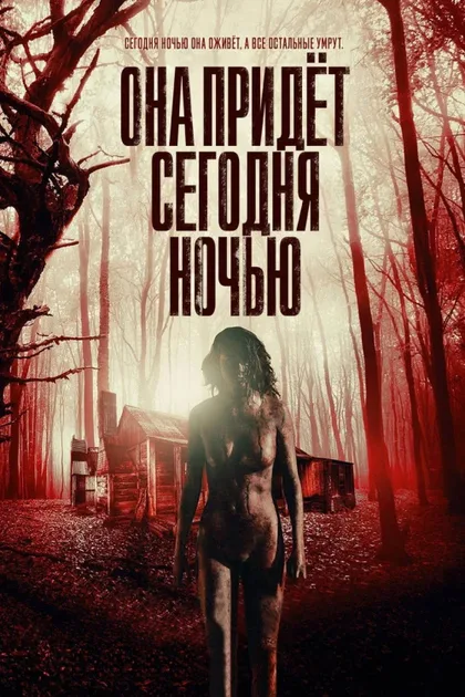 Фильм Она придёт сегодня ночью (2016)