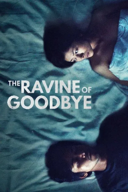 Фильм Долина прощаний (2013)