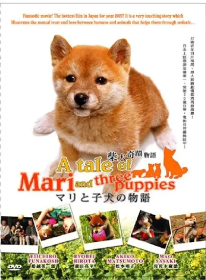 Фильм История Мари и трёх щенков (2007)