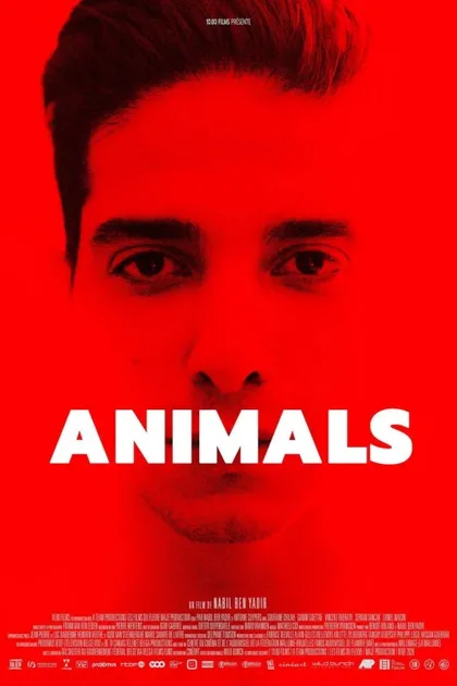 Фильм Животные (2021)