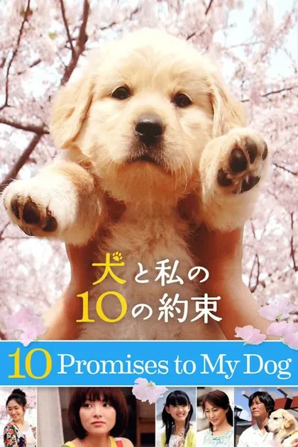 Фильм 10 обещаний моей собаке (2008)
