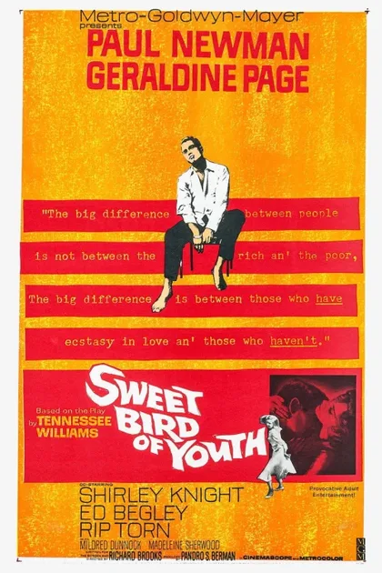 Фильм Сладкоголосая птица юности (1962)