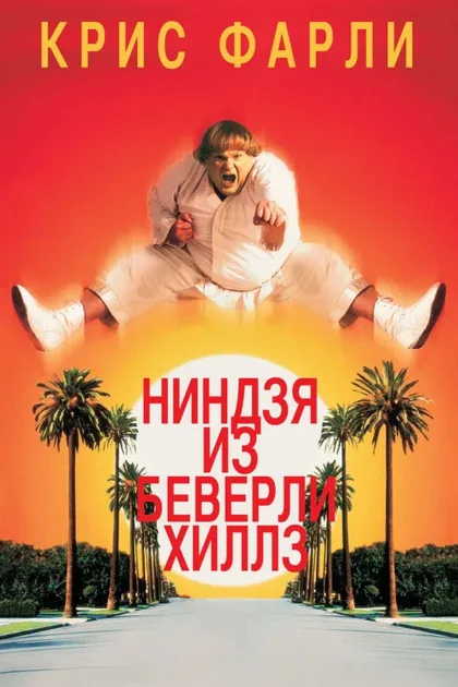 Фильм Ниндзя из Беверли-Хиллз (1997)