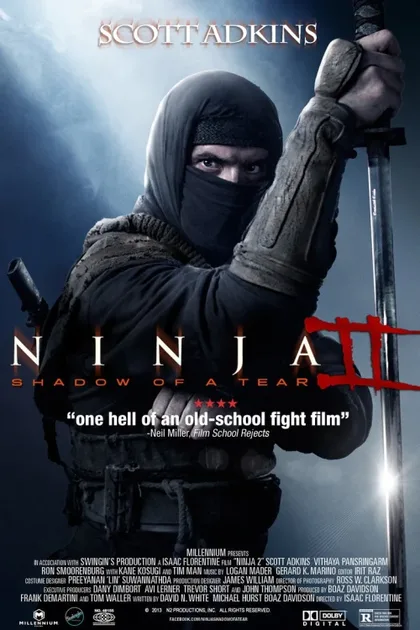 Фильм Ниндзя 2 (2013)