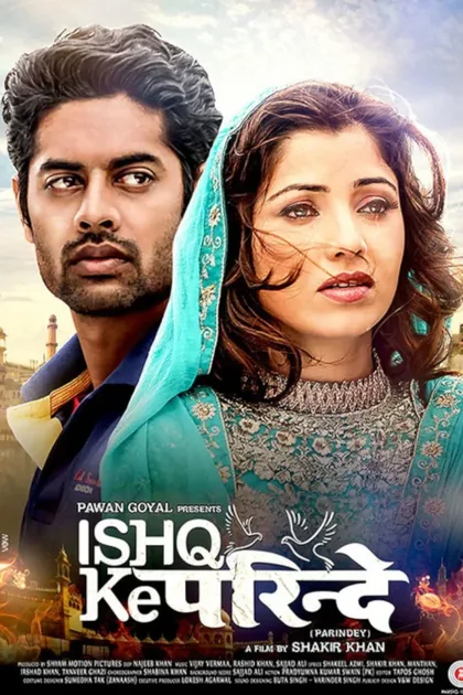 Фильм Любовь не знает границ (2015)