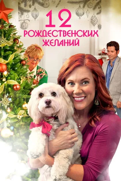 Фильм 12 Рождественских желаний (2011)