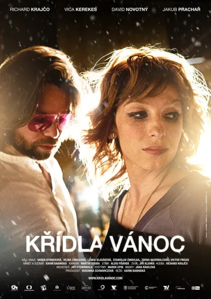 Фильм Крылатое Рождество (2013)