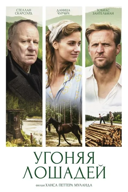 Фильм Угоняя лошадей (2019)