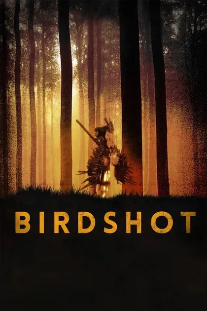 Фильм Дробь (2016)