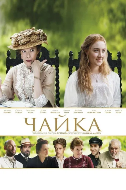 Фильм Чайка (2018)