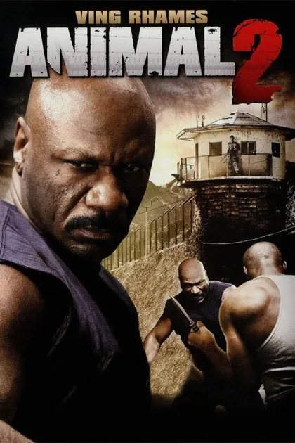 Фильм Авторитет (2008)