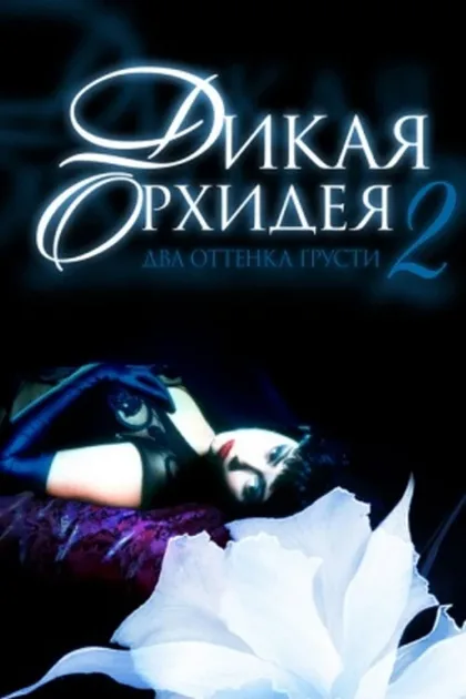 Фильм Дикая орхидея 2: Два оттенка грусти (1991)