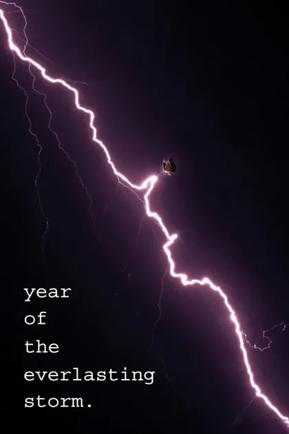 Фильм Год вечной бури (2021)