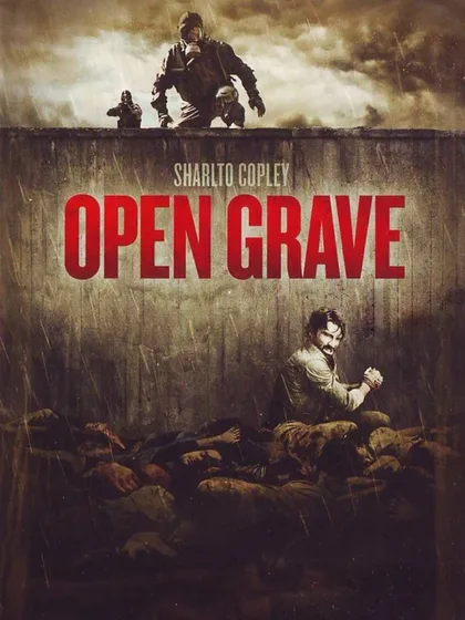 Фильм Открытая могила (2013)