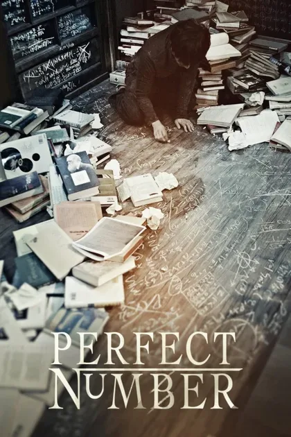 Фильм Подозреваемый Икс (2012)