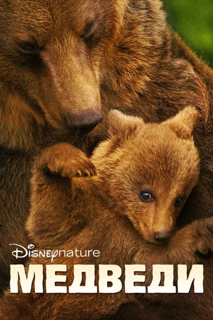 Фильм Медведи (2014)