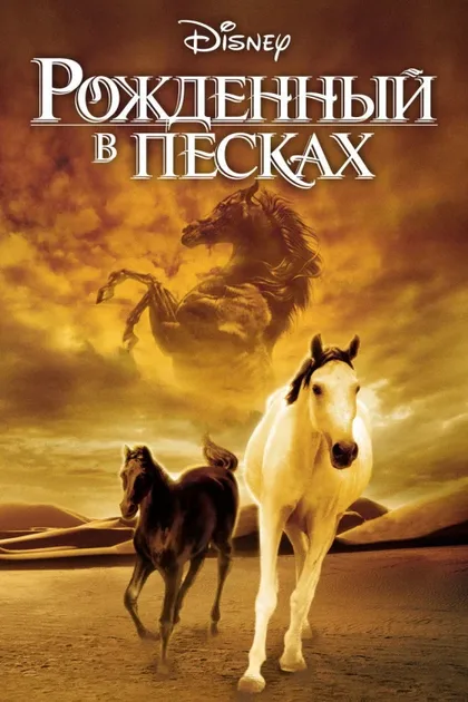 Фильм Рожденный в песках (2003)