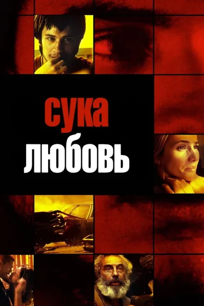 Фильм Сука-любовь (2000)
