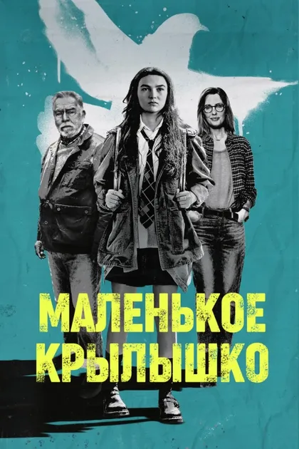 Фильм Маленькое крылышко (2024)