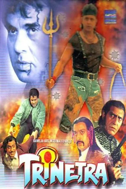 Фильм Третий глаз Шивы (1991)