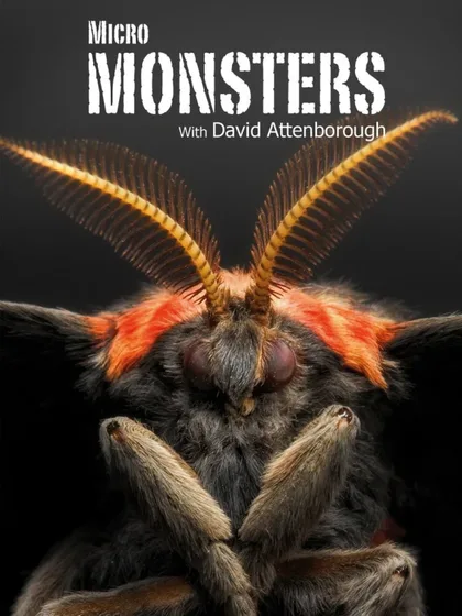 Фильм Микромонстры 3D с Дэвидом Аттенборо (2013)