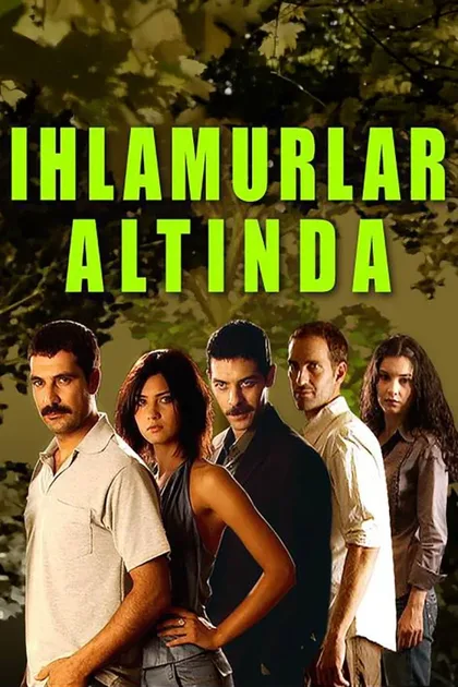 Фильм Под сенью лип (2005)