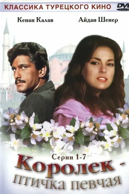 Фильм Королёк – птичка певчая (1986)