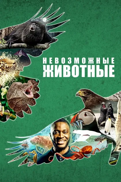 Фильм Невозможные животные (2021)