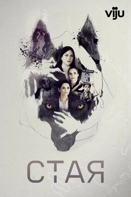 Фильм Стая (2019)