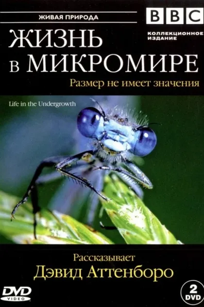 Фильм BBC: Жизнь в микромире (2005)