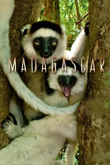 Фильм BBC: Мадагаскар (2011)