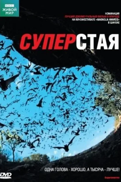 Фильм BBC: Суперстая (2009)
