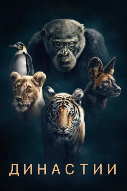 Фильм Династии (2018)