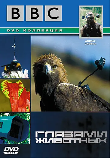 Фильм BBC: Глазами животных (2004)