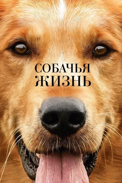 Собачья жизнь 1