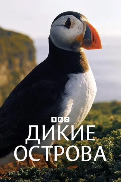 Фильм Дикие острова (2023)