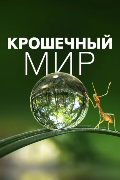 Фильм Крошечный мир (2020)
