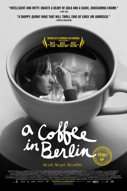 Фильм Простые сложности Нико Фишера (2012)