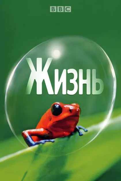 Фильм BBC: Жизнь (2009)