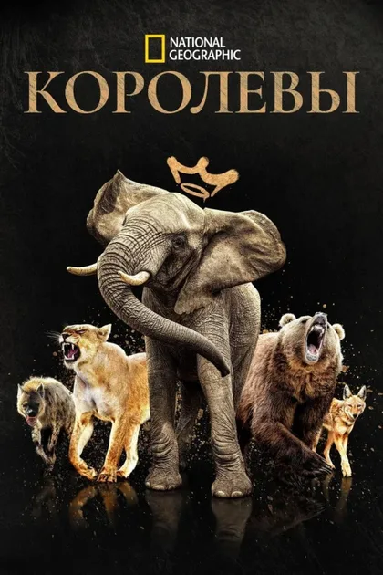 Фильм Королевы (2024)