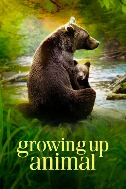 Фильм Взрослеющее животное (2021)