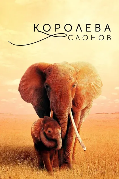 Фильм Королева слонов (2018)