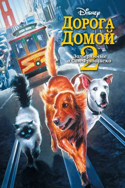 Фильм Дорога домой 2: Затерянные в Сан-Франциско (1996)