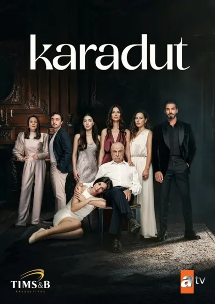 Фильм Чёрная шелковица (2024)