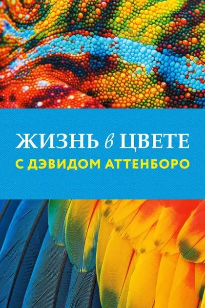 Фильм Жизнь в цвете с Дэвидом Аттенборо (2021)