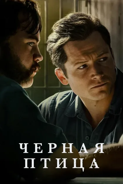Фильм Чёрная птица (2022)