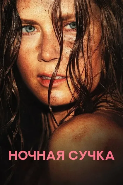 Фильм Ночная сучка (2024)