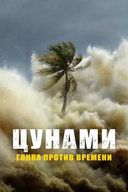 Фильм Цунами: Гонка против времени (2024)